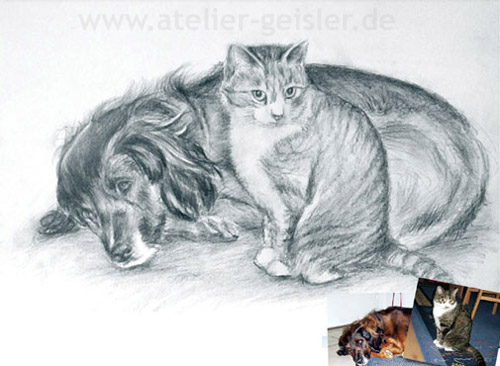 hund und katze zeichnen